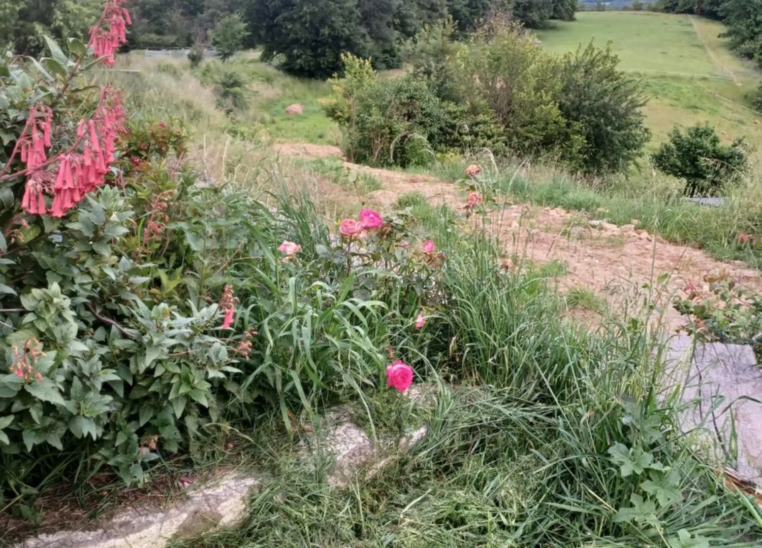 La Biste Villa Mirepoix  0*, Mirepoix (Ariege)